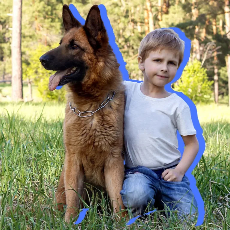 What Are The Best Guard Dogs and Family Dogs
