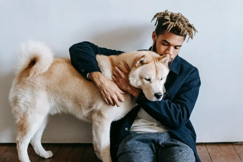 Young man with dreadlocks lovingly hugging a calm Akita Inu dog indoors. 12 Protective (Yet Seriously Sweet) Guard Dog Breeds