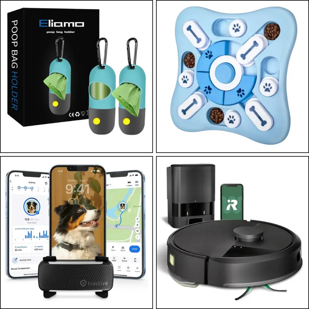 Best Dog Gadgets