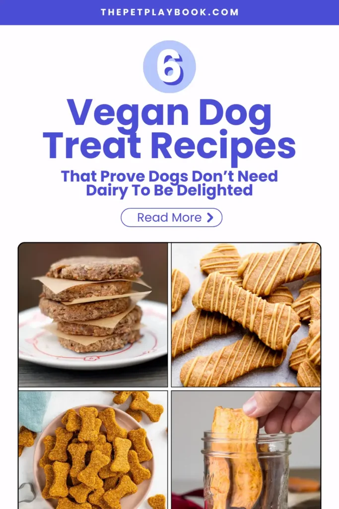 Vegan Dog Treat Recipes (2)