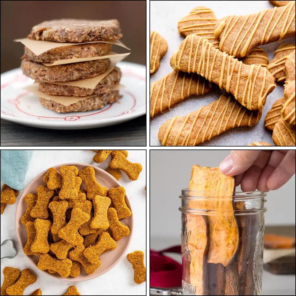 Vegan Dog Treat Recipes (2)