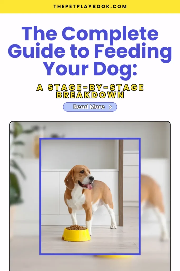 The Complete Guide to Feeding Your Dog