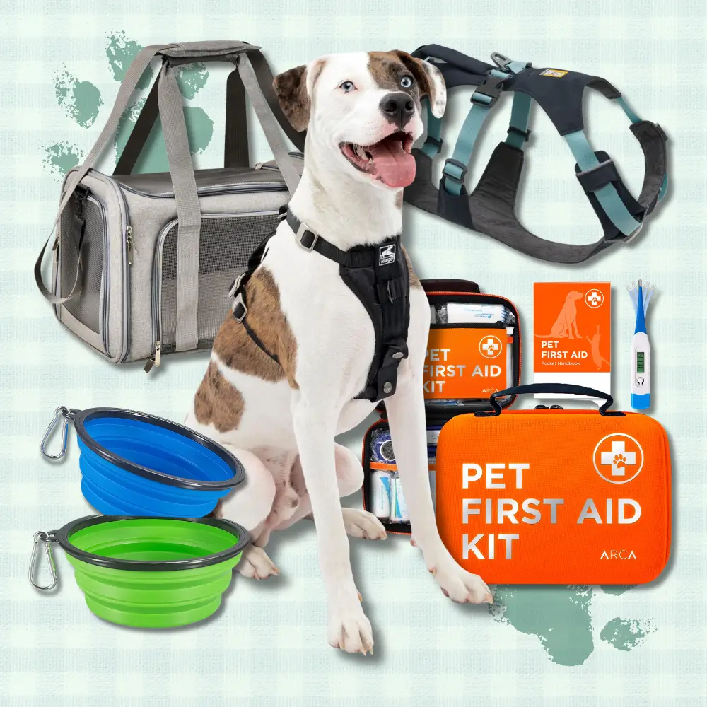 Dog Travel Essentials