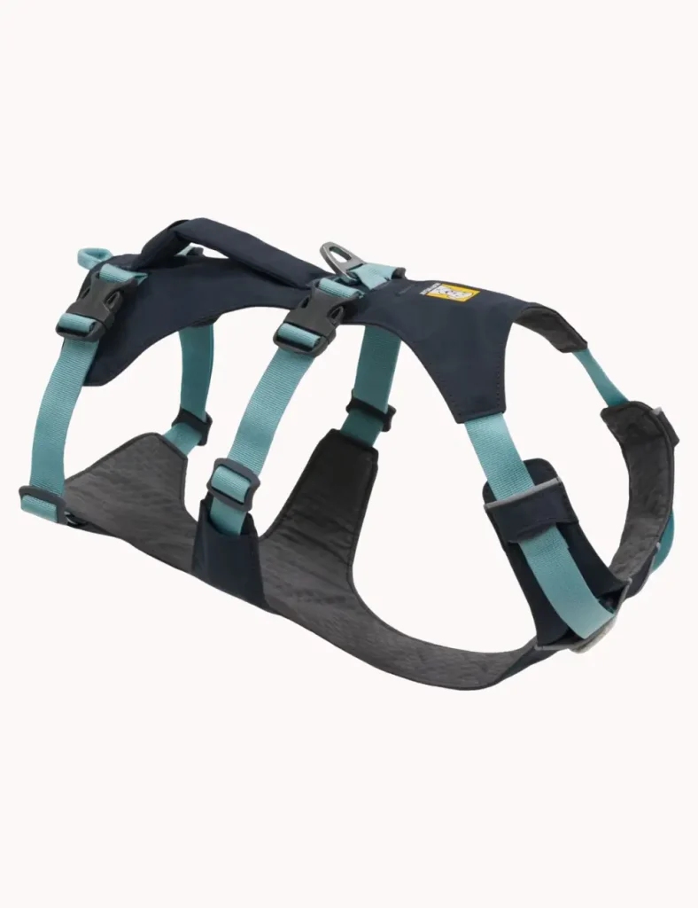 Ruffwear Front Range dog leash in gray and blue showing padded handle and secondary traffic handle